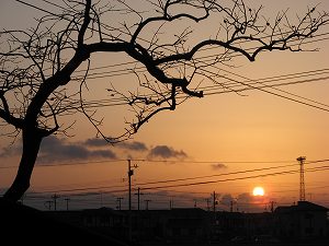 画像 018.jpg