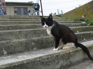 IMG_4265.jpg