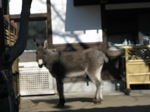 画像 075.jpg