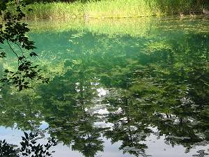 IMG_4901.jpg