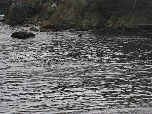 IMG_4266.jpg