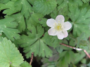 画像 019.jpg