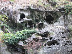 画像 146.jpg