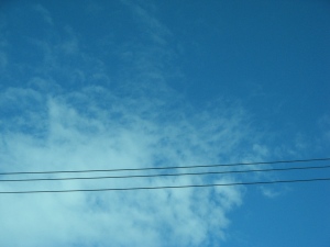 IMG_5548.jpg