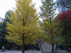 IMG_6842.jpg