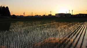 IMG_2012.jpg