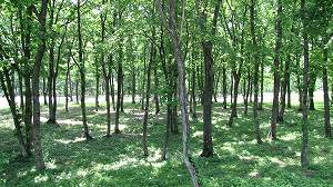 IMG_3673.jpg
