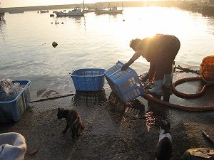 IMG_4319.jpg