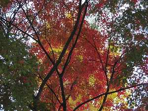 IMG_6843.jpg