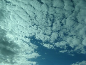 IMG_5544.jpg