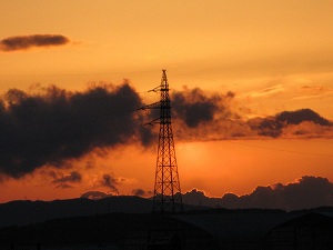 IMG_8645.jpg