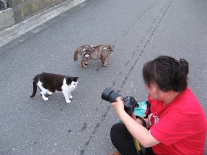 画像 068.jpg