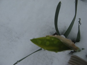 画像 024.jpg