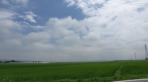 IMG_4218.jpg