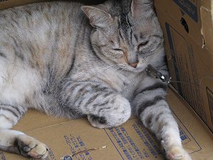 画像 034.jpg