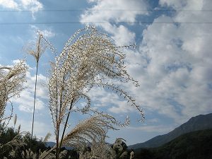 IMG_6058.jpg