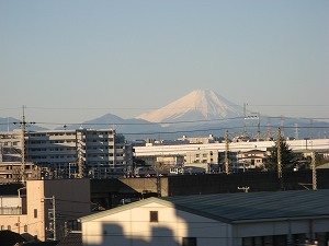 IMG_7755.jpg