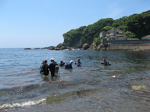 IMG_4350.jpg
