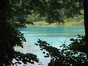 IMG_4922.jpg