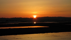 IMG_1045.jpg