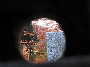 画像 170.jpg