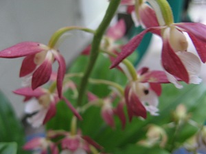 IMG_3692.jpg