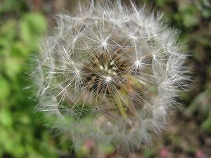 IMG_5956.jpg