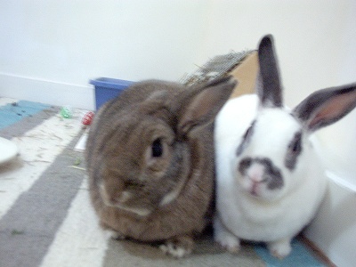 うさず７月２３日