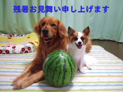 2007_0816 残暑お見舞い申し上げます400.jpg