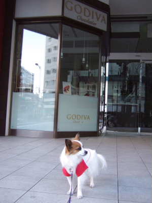 2008_0310  GODIVA前にて400.jpg