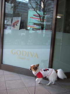 2008_0310  GODIVA・・関係ね～320.jpg