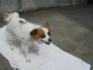 2007_0720そら記念日動画用１.jpg