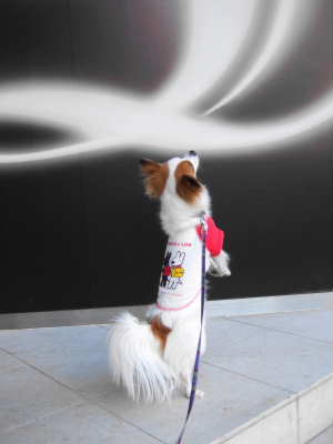 2008_0310  ハーゲンダッツ前1　　400.jpg