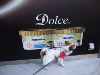 2008_0310  ハーゲンダッツ前2　　320.jpg