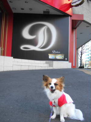 2008_0310  ハーゲンダッツ前3　　320.jpg