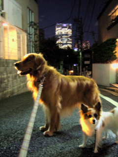 2007_0816 青山にて320.jpg