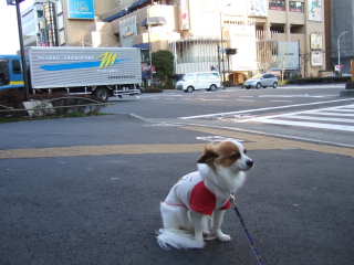 2008_0310  ハーゲンダッツ前4　　320.jpg