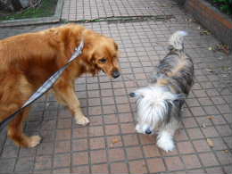 2006_0624 momoちゃんと1.jpg