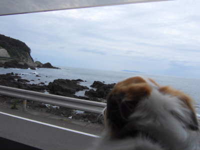 そら、車窓から日本海