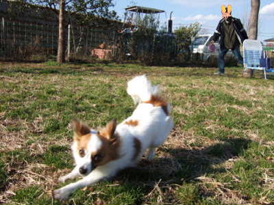 2008_0113  ランにて2　　400.jpg