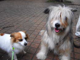 2006_0624 momoちゃんと3.jpg