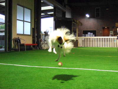 2008_0112  室内ランにて2　　400.jpg