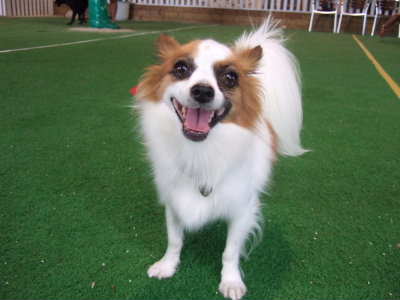 2008_0112  室内ランにて3　　400.jpg