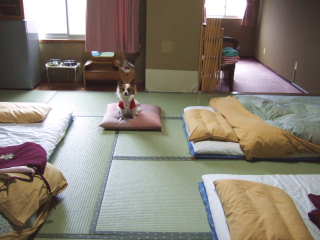 2007_1114 だいこく館　お部屋320.jpg