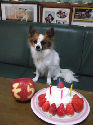 2008_0113  兄ちゃんもお祝い400.jpg
