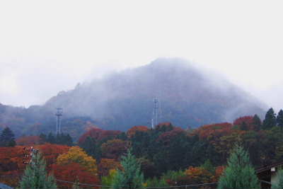2007_1114 山の紅葉.jpg