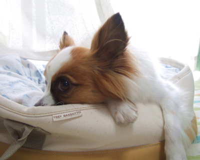 2007_0720  そらの目7　　　400.jpg