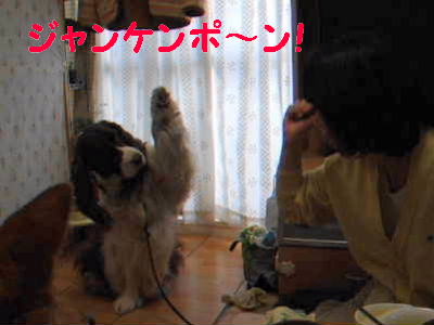 2008_0510プチオフ会♪009（動画用）.jpg