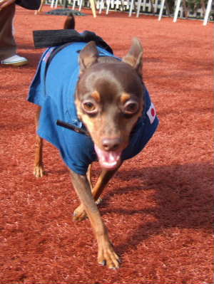2007_1111　15　ルピン君　400.jpg