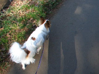 2008_0710ワンワンしないよ動画用002.jpg